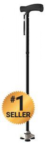 All Terrain Cane
